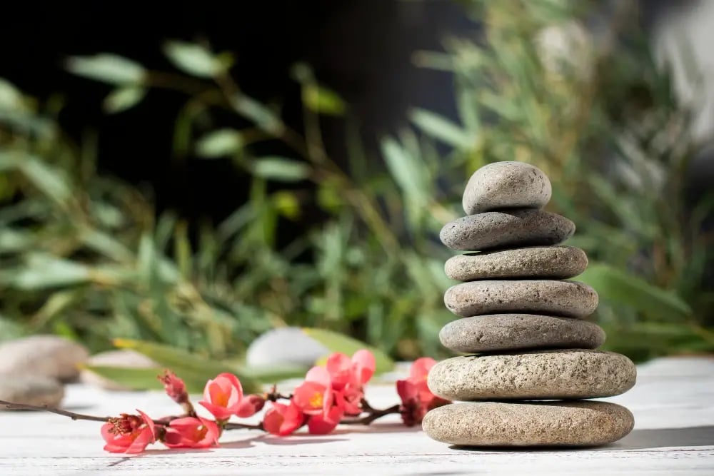 Jardín zen: una propuesta decorativa para crear rincones de calma en espacios comerciales