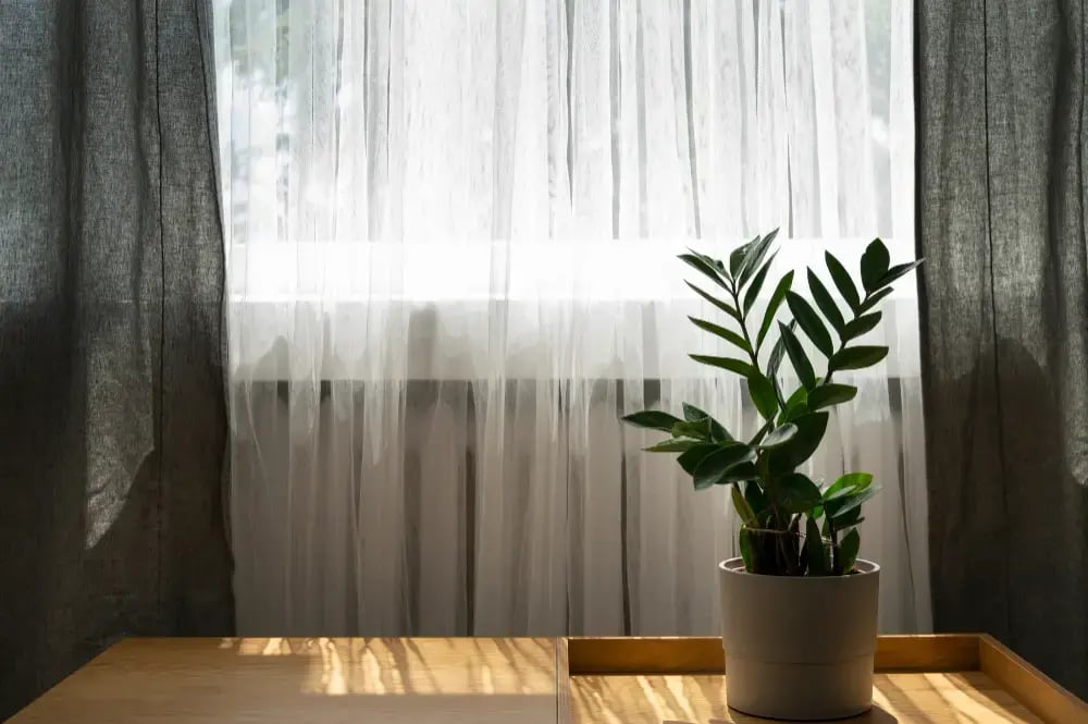 Decorating with curtains: quick ideas + smart buying guide