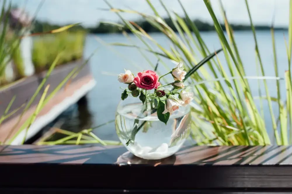 Lake House Decor Essentials to Elevate Your Summer Collection