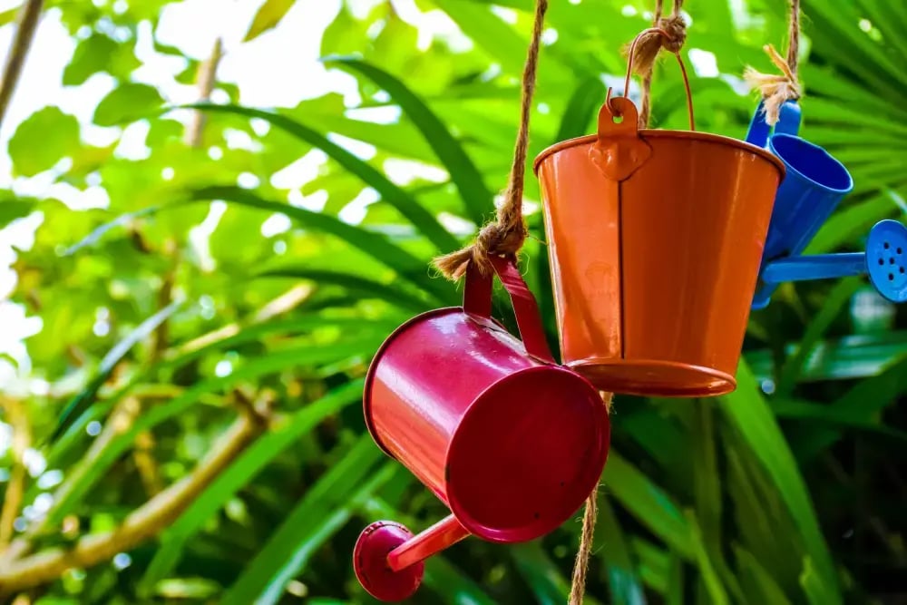 Les arrosoirs déco qui font sensation cette saison