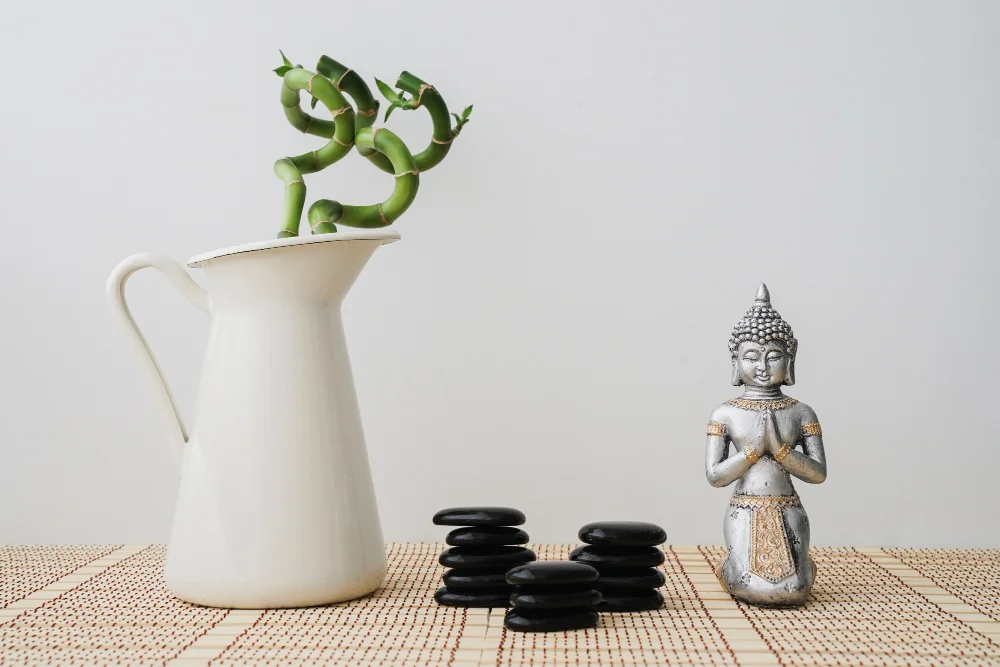 Décoration intérieure zen et nature : des espaces au style durable