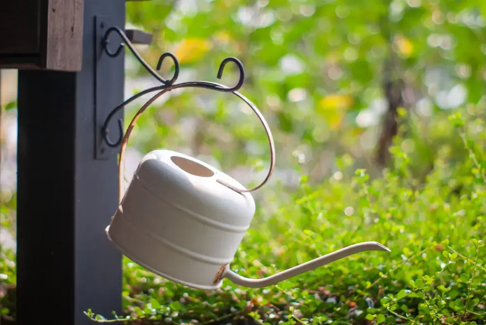 Arrosoirs de jardin design : votre prochain coup de cœur déco